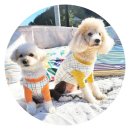 재인스가든 이미지