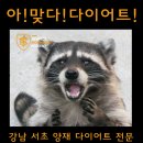 리스펙트 킥복싱 아카데미 이미지