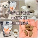 닥터로나 | [강아지저지방사료] 닥터클라우드 인테스티널 IRD 저지방 사료 급여후기🐾🐶🐾