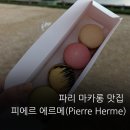 뺑드슈 PAIN DE SUCRE | 파리 개선문 앞 마카롱 맛집 피에르 에르메(Pierre Herme) 비쥬얼과 맛을 한번에!