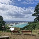 키작은집 이미지