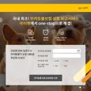 아이펫 스마트경제