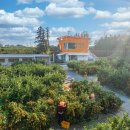 용동1길 이미지