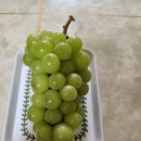 농라 (마고농원)