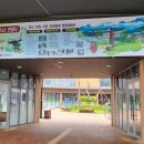 동의한방웰빙 이미지