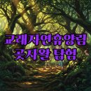 교래자연휴양림 이미지