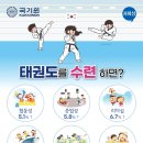 솔찬태권도 이미지