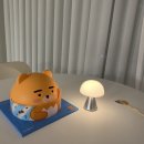막스제이