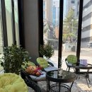 [교대역 미용실] 오즈(OZ)미용실, 수현 실장 레이어드 중단발펌 씨컬펌 후기/두번째 방문
