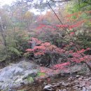 구마일주통나무산장 이미지