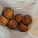 (주)테코아 | 창원NC파크는 달라...! 정말 달라...! (9/13 창원 원정) feat. 금호고속 직관 패키지 3루 내야 121구역...