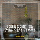 익산 고스락 방문후기 | 전통 항아리 정원카페 아이랑 봄나들이