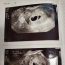 탄방대한약국 이미지