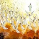 파루시아 이미지