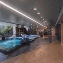 프리마스파 이미지