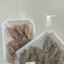 소미 | 서면롯백맛집 근처 부전시장현지인맛집, 소미명품만두 솔직 후기