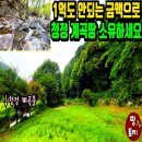 여주-0713 네이버블로그