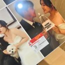 호원본튼튼의원 | 웨딩아크릴액자 저렴하게 한 후기, 사진보정과 액자제작 동시에 가능한 곳_투데이즈스튜디오