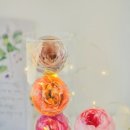 핸드블루밍아트협회 이미지