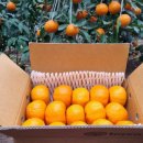 케이비농장 이미지