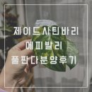 참농비료 | var) , 에피프레넘 Sp.발리(E. sp Bali Hanoman)키우기 풀판다온라인 분양 후기 화분식재 베란다가드닝