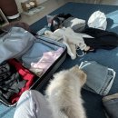 달봉이치킨 | 프랑스 여행기