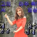 천태만상 Daum카페