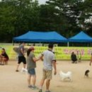 서울동물복지지원센터 동대문 동물병원 이미지