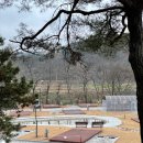 옥화자연휴양림 국민여가오토캠핑장 이미지