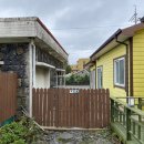 유채꽃길에 머문시간 이미지