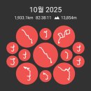 (주)대진물산(2공장) | [2025년 10월] 라이딩 결산