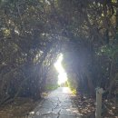 보담애월 이미지