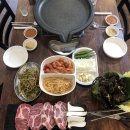 돼지박사 이미지