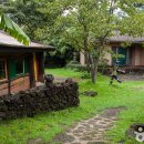 돌하르방미술관 이미지