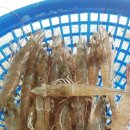 바위섬회수산 이미지