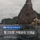 태양식당 | [여자 혼자 울릉도 여행] 통구미항 거북바위가재굴 &amp; 태양식당 따개비죽 후기