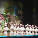 호정숲속어린이집 이미지