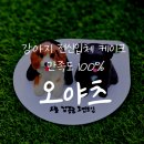 오야츠(OYATSU) | 구미 강아지케이크 오야츠 전신입체 케이크 픽업 후기