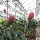 문정순농장 이미지