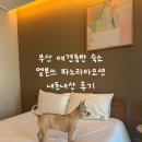 엘본쓰 | 부산 해운대 애견 동반 가능한 숙소 엘본 더 스테이-엘본쓰 (파노라마 오션) 내 돈 내산 솔직 후기