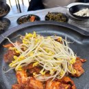종가집두루치기 | 구례 산수유축제 맛집 추천 종가집 내돈내산 두루치기 찐후기