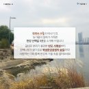 ‘한강’ 산책 이미지