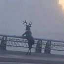 삼가로3 이미지