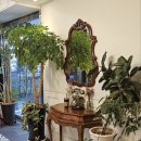 자산동297 이미지