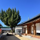 (주)금곡마트 | [석주재] 밀양 독채 한옥 숙소 '주' 1박 내돈내산 후기