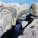 해수랜드 이미지