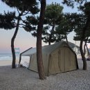 어촌회관 | 양양 죽도 인구 맛집 | 양리단길 어촌회관 LA해물찜 솔직 후기