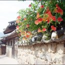 하화 티스토리