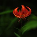 선유동 이미지