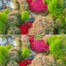 완산-131 이미지